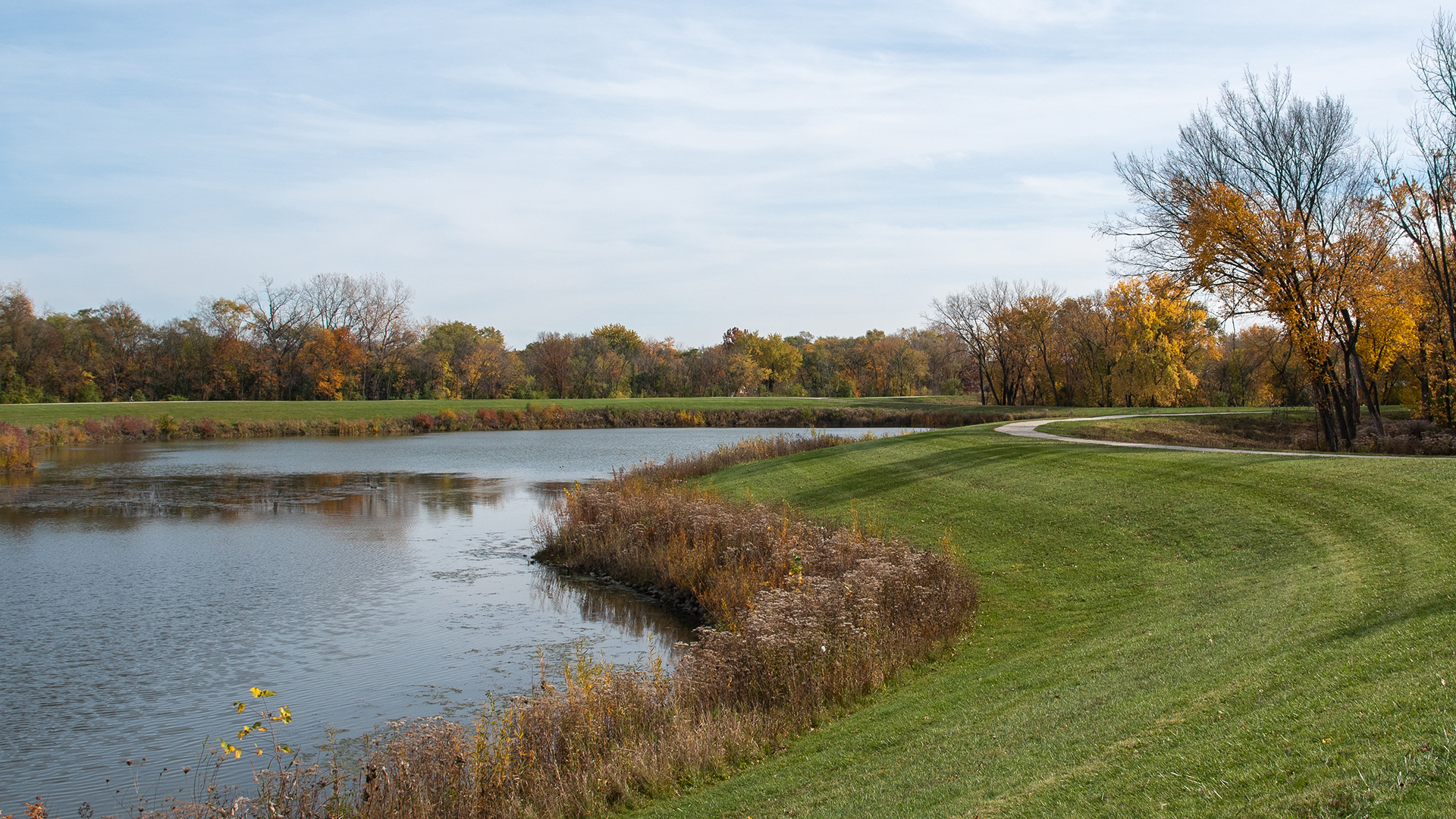 cricket-creek-1920x1080